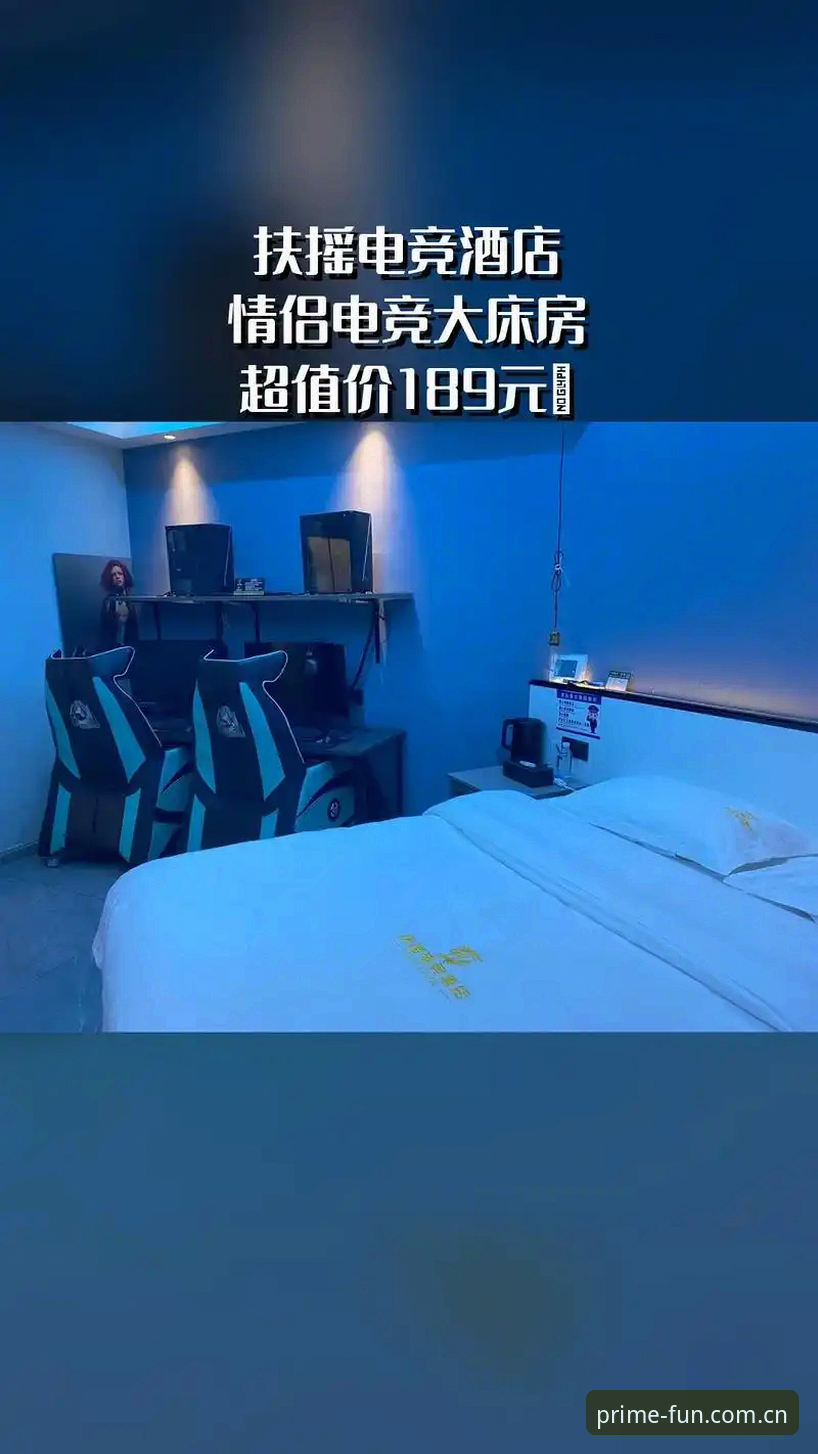 第一娱乐体验版v2.0.5详解：新手入门与操作指南